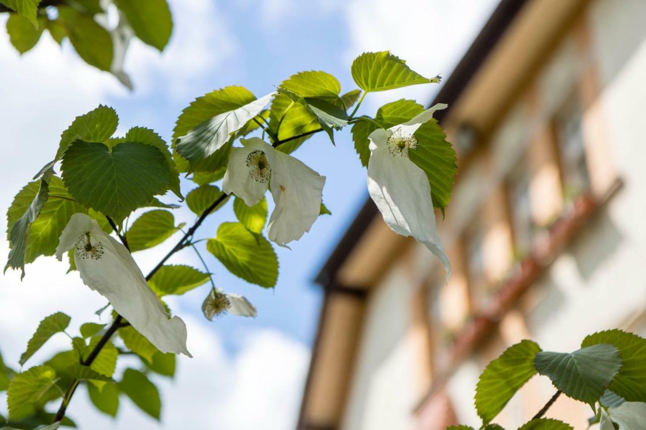Gaestehaus Musmann Hannoversch Münden Zewnętrze zdjęcie