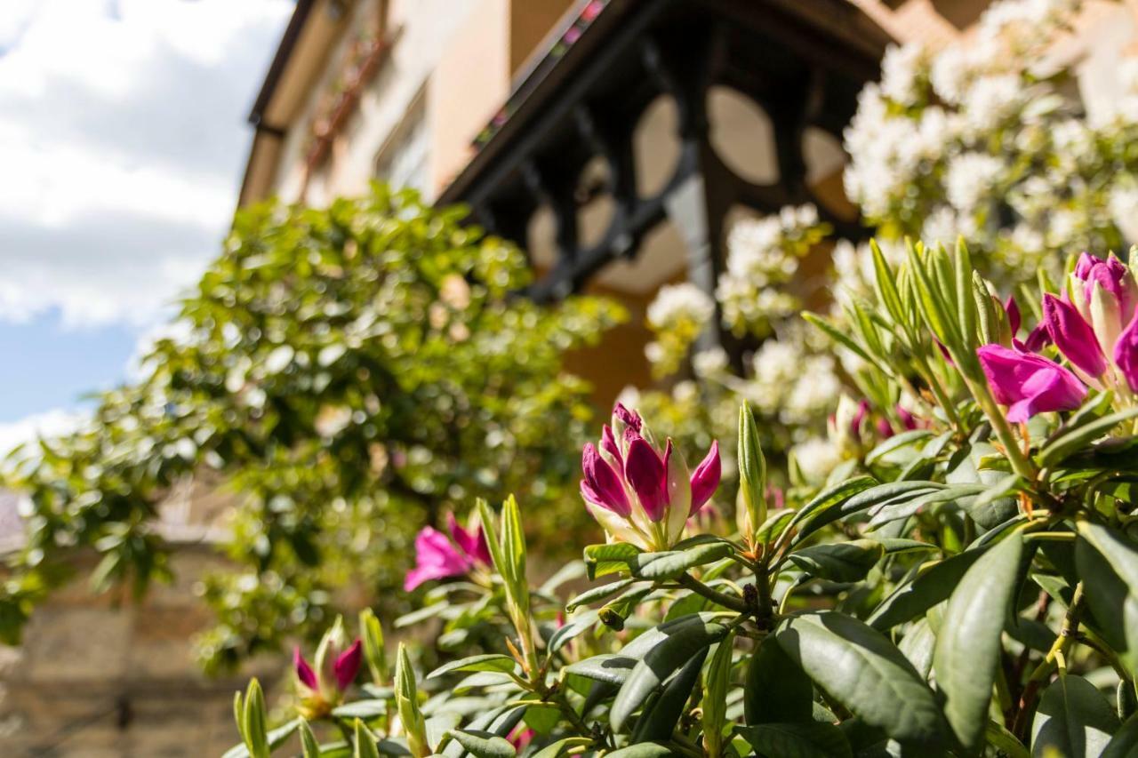 Gaestehaus Musmann Hannoversch Münden Zewnętrze zdjęcie